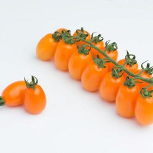 עגבניות שרי כתומות מארז כ-1.4 ק"ג
